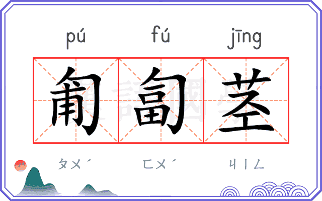 匍匐茎