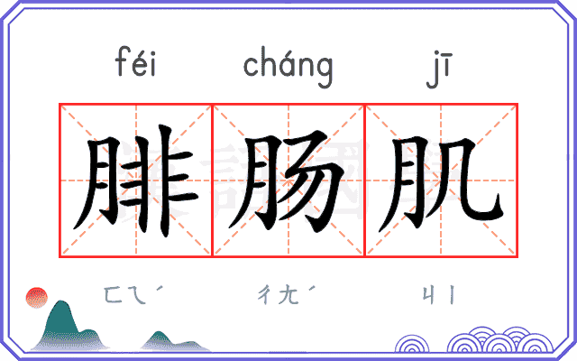 腓肠肌