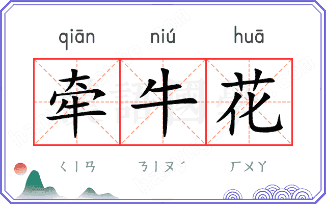 牵牛花