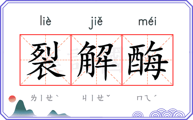 裂解酶