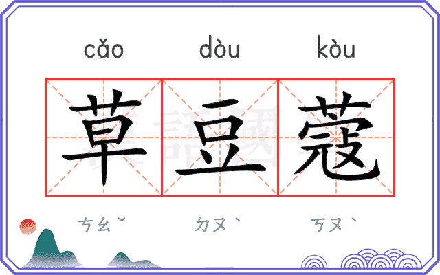 草豆蔻
