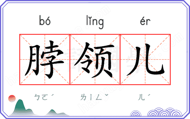 脖领儿