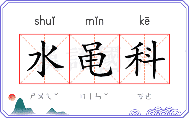 水黾科
