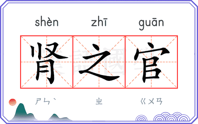 肾之官