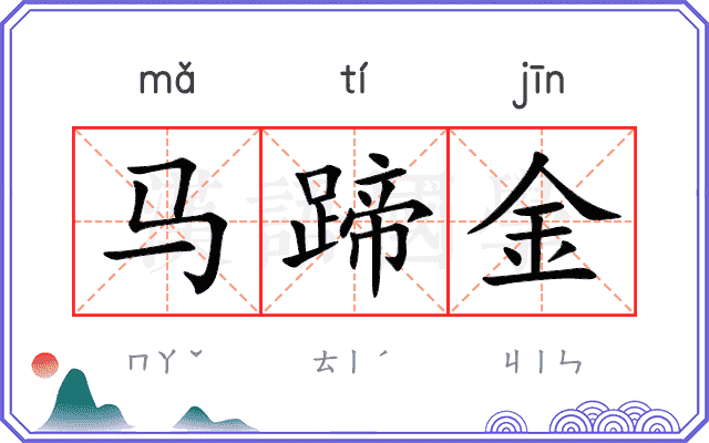 马蹄金