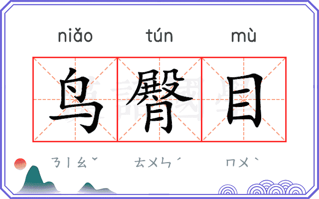 鸟臀目