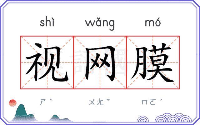 视网膜