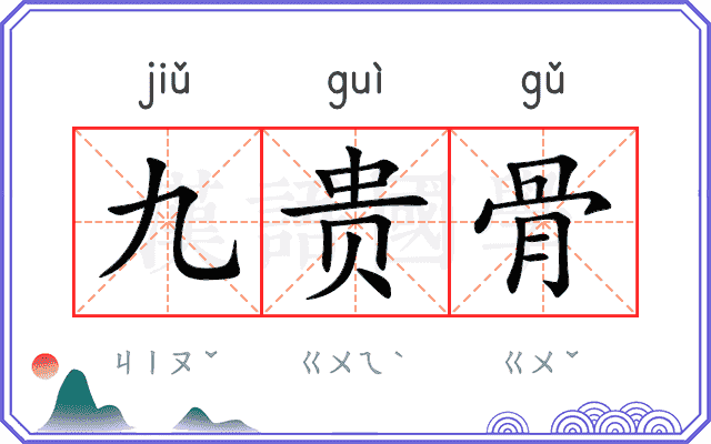 九贵骨