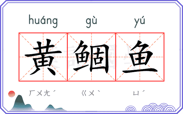 黄鲴鱼