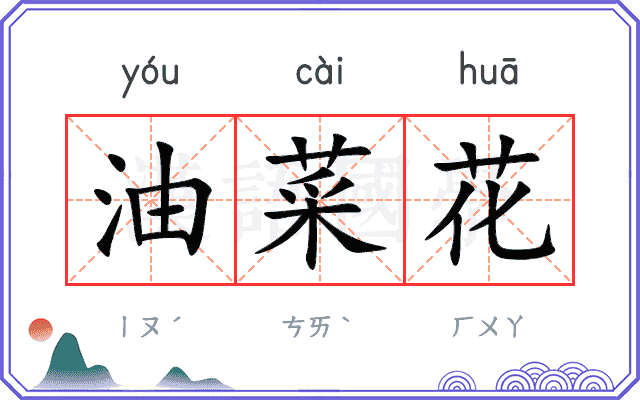 油菜花