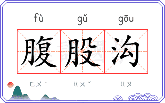 腹股沟