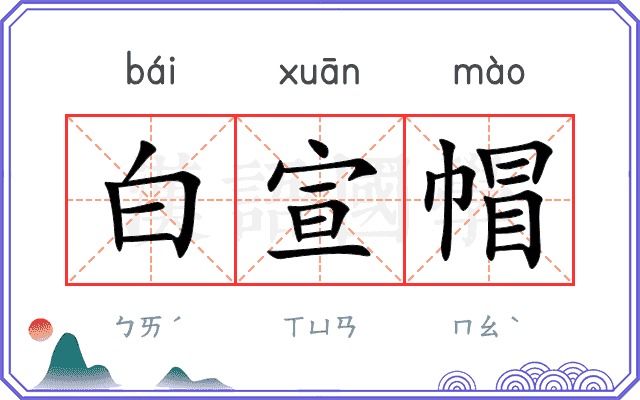 白宣帽