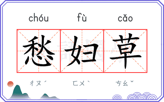 愁妇草