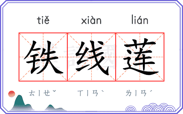 铁线莲