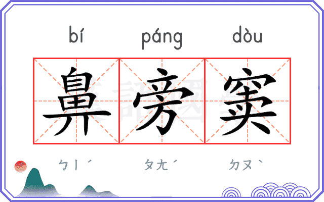 鼻旁窦