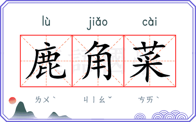 鹿角菜