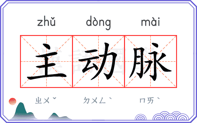主动脉