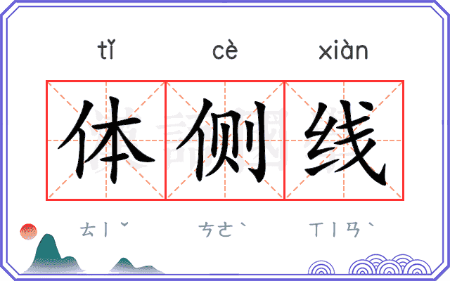 体侧线
