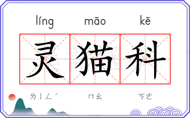 灵猫科