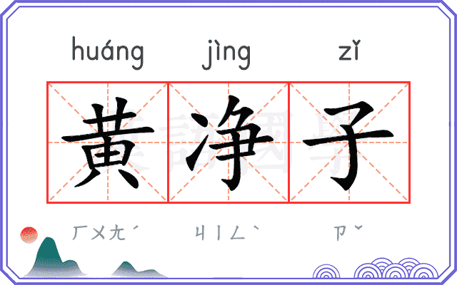 黄净子