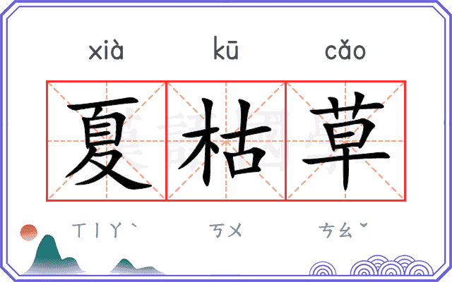 夏枯草