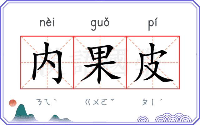 内果皮