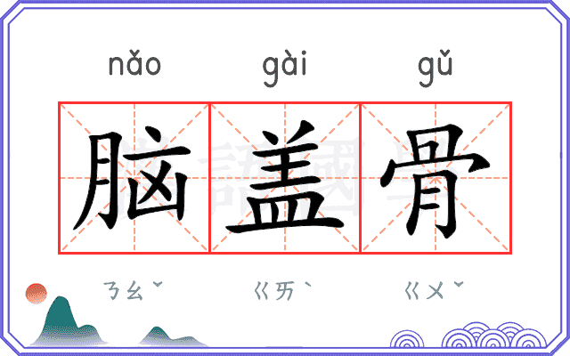 脑盖骨