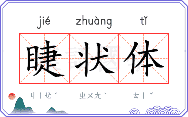 睫状体