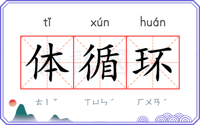 体循环