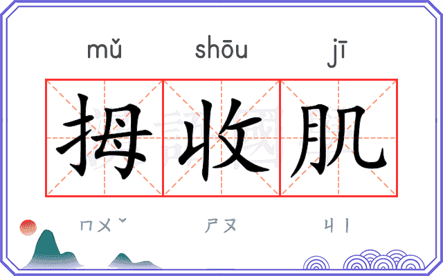 拇收肌