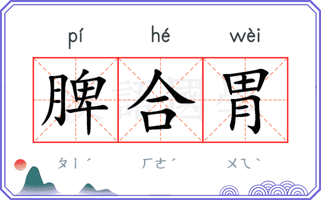 脾合胃