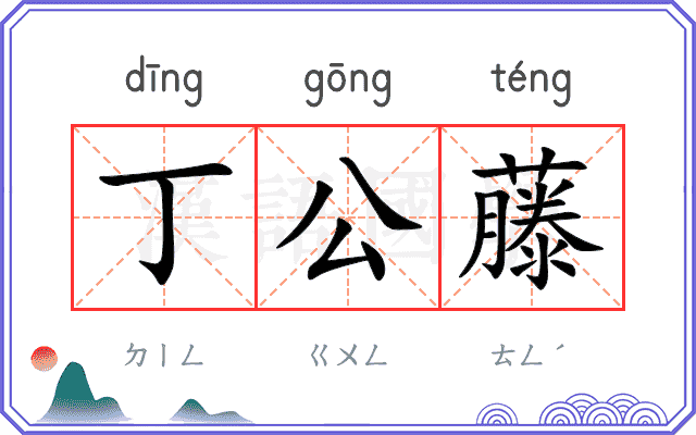 丁公藤
