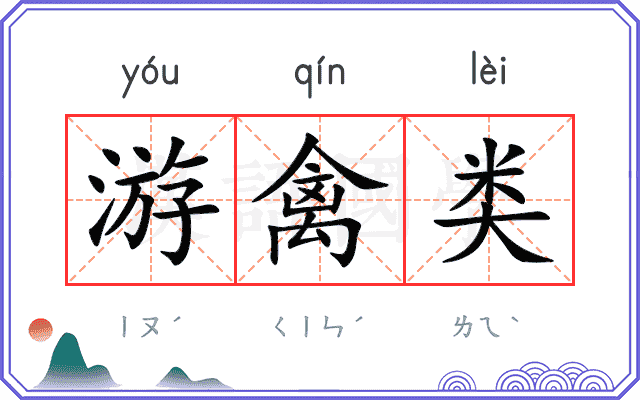 游禽类