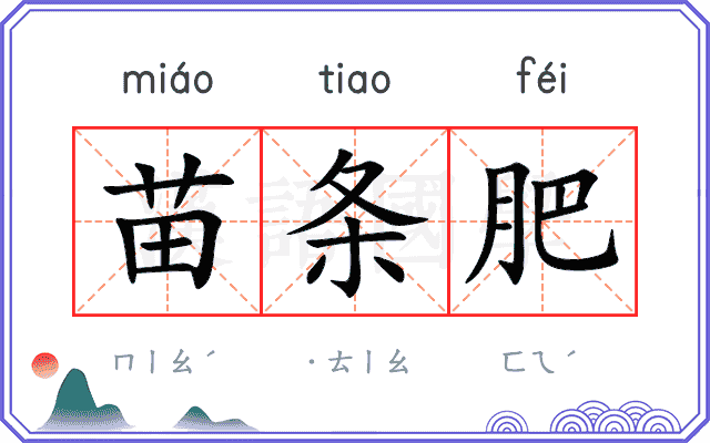 苗条肥