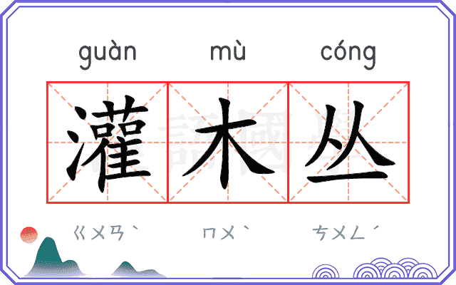 灌木丛