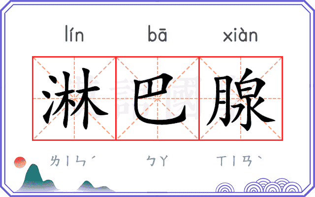 淋巴腺