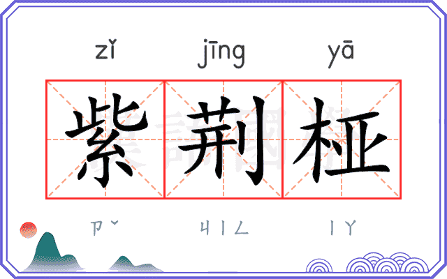 紫荆桠