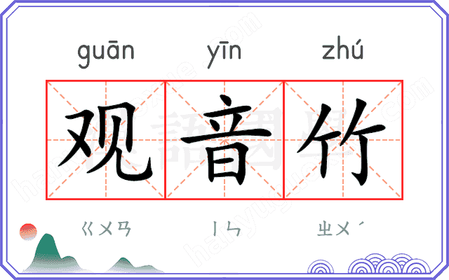 观音竹