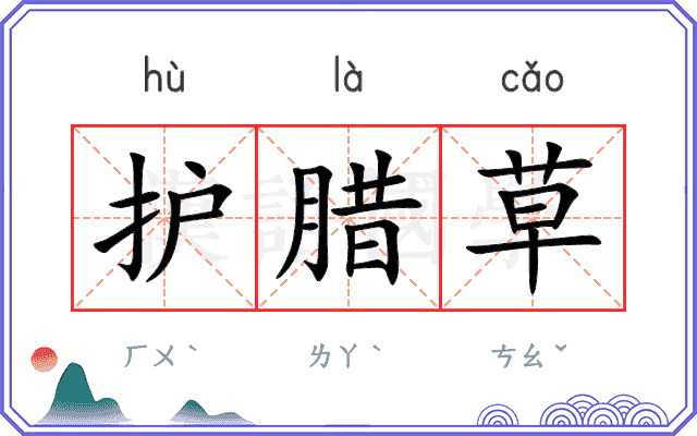 护腊草