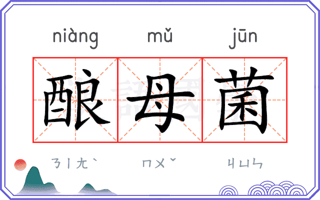 酿母菌