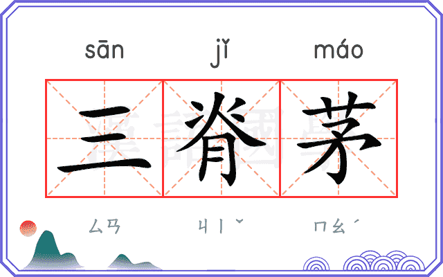 三脊茅