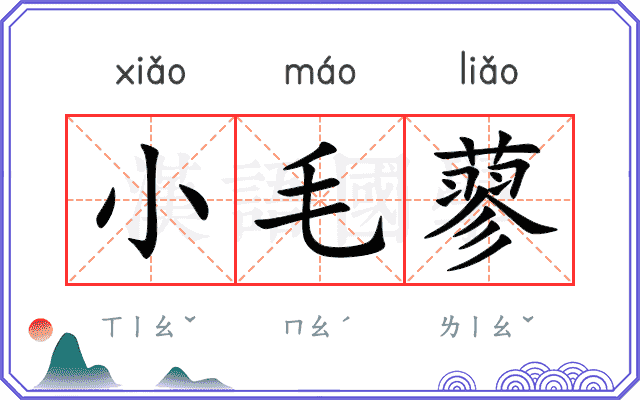 小毛蓼