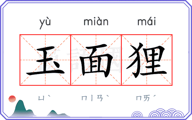 玉面狸