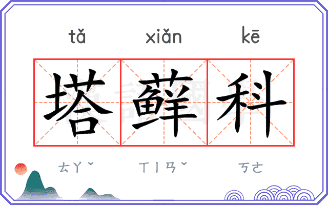 塔藓科