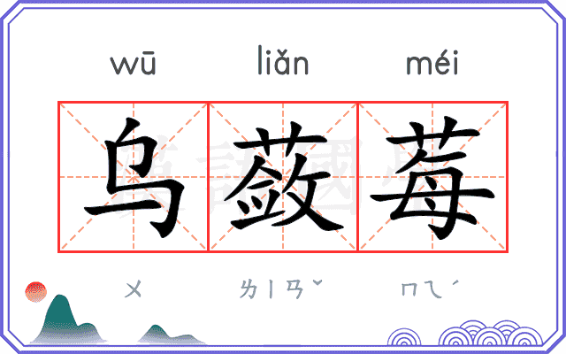 乌蔹莓
