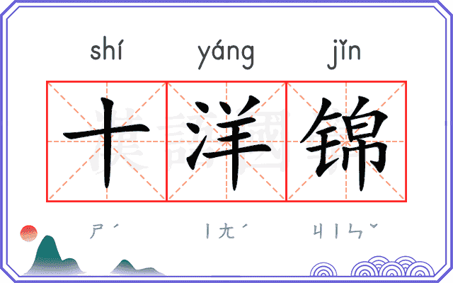 十洋锦