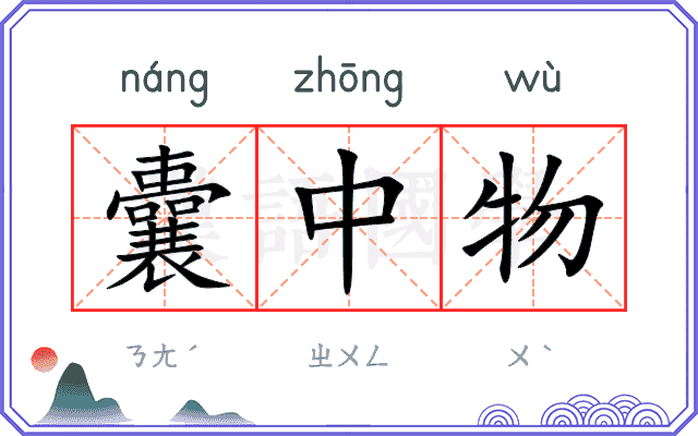 囊中物
