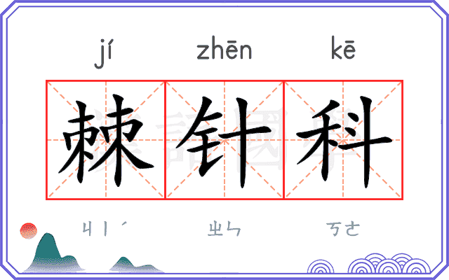 棘针科