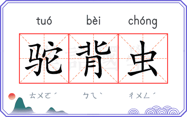 驼背虫