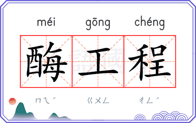 酶工程